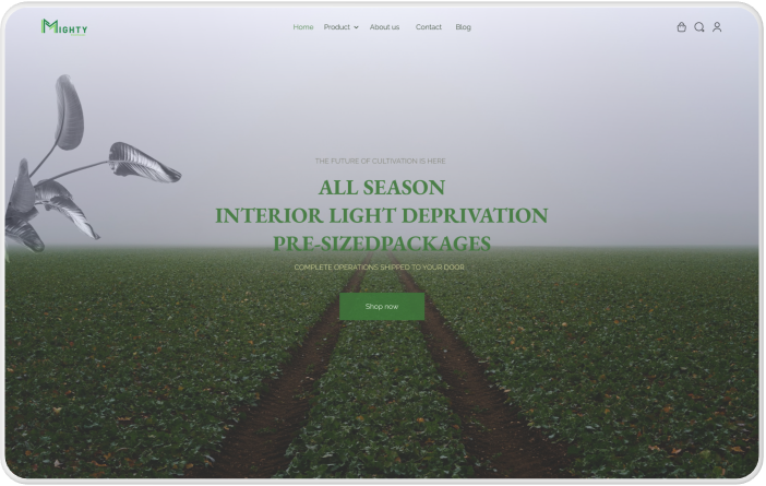 Design Image 5